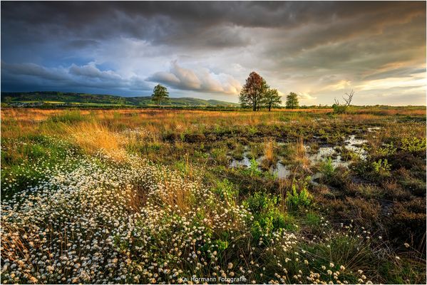 Schönes Licht vom letzten Jahr.