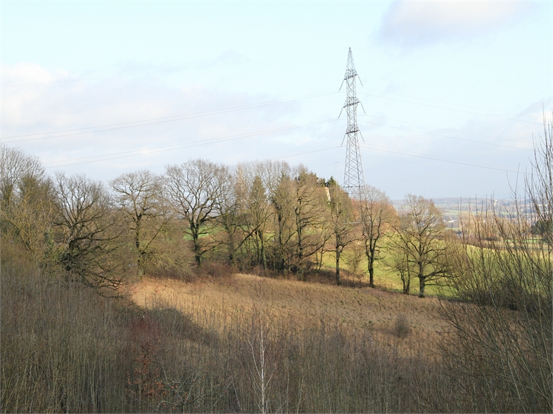 Schönes Natur Photo mit Bäume