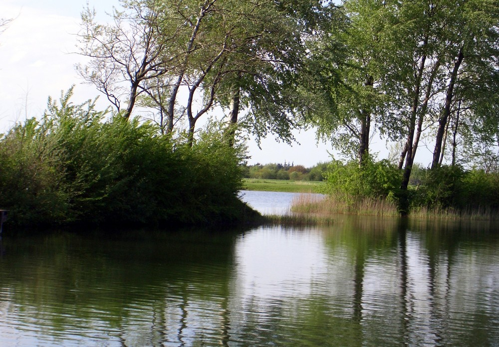 schönes Nordfriesland (Ladelund)