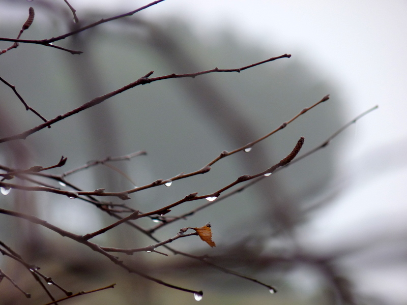 Schönes Novembergrau