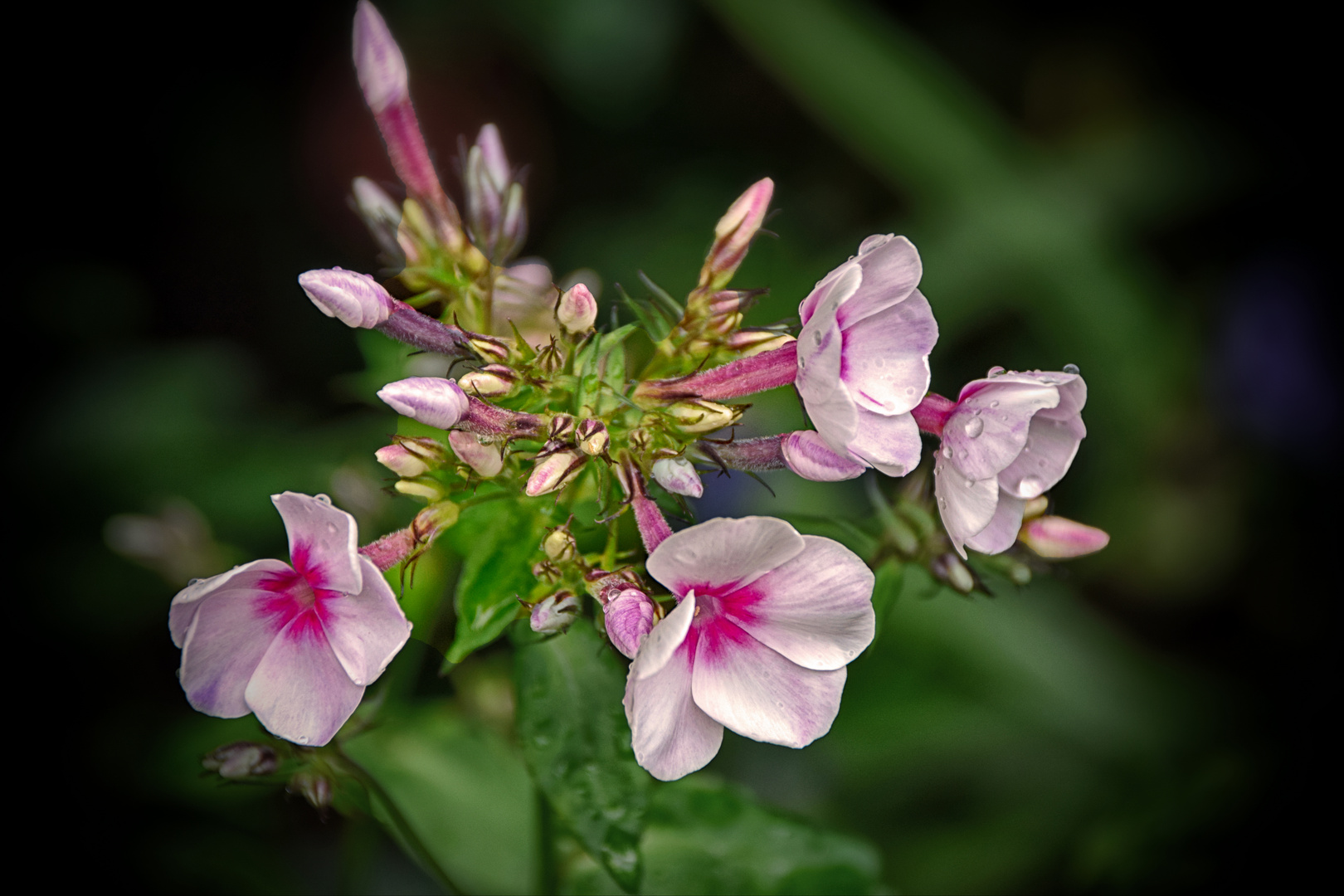 Schönes Pfingstwochenende Foto & Bild color fine art, wildpark, natur