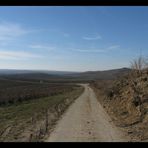 Schönes Rheinhessen