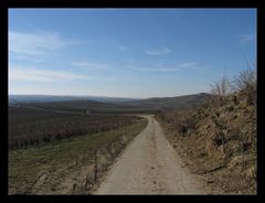 Schönes Rheinhessen