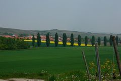 Schönes Rheinhessen