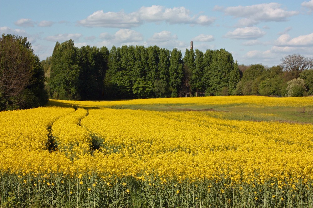 schönes Ruhrgebiet 2