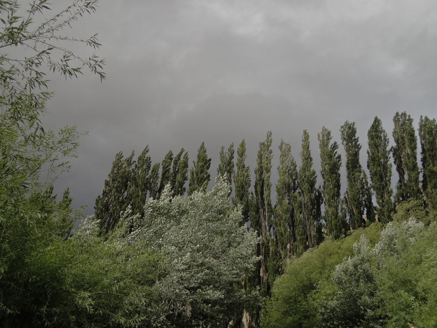 ... schönes, schlechtes Wetter ...