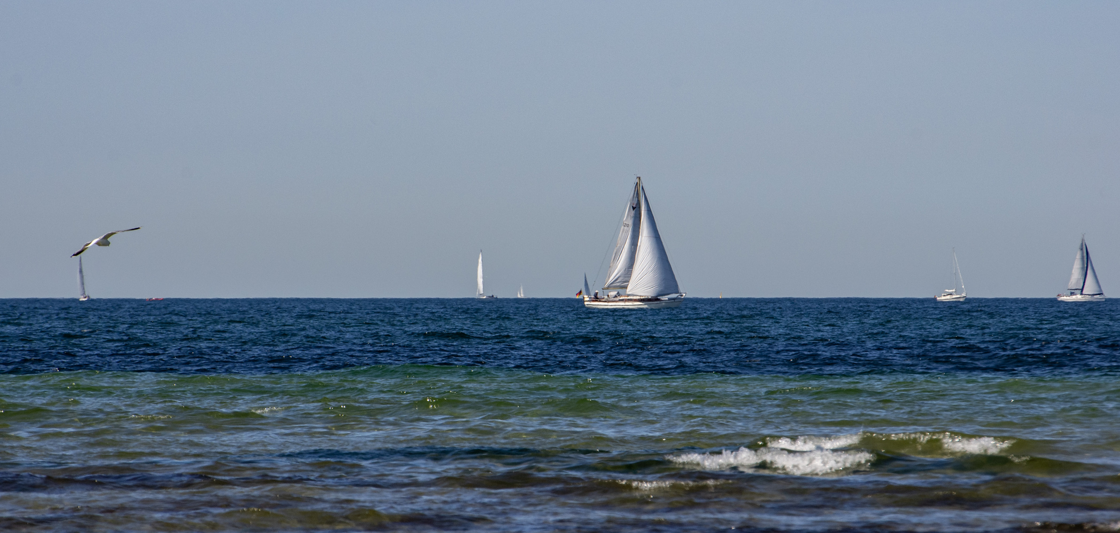 Schönes Segelwetter!