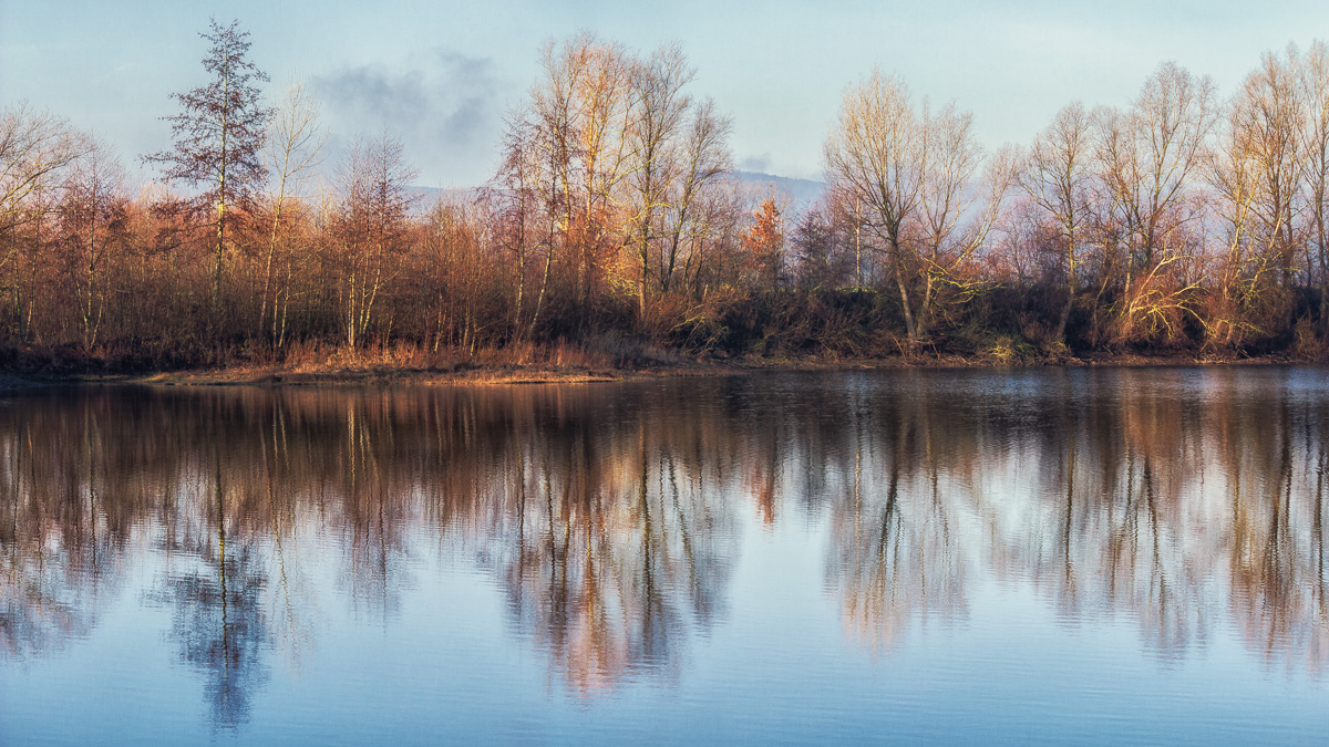 Schönes Sonnenlicht am Teich