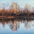 Schönes Sonnenlicht am Teich