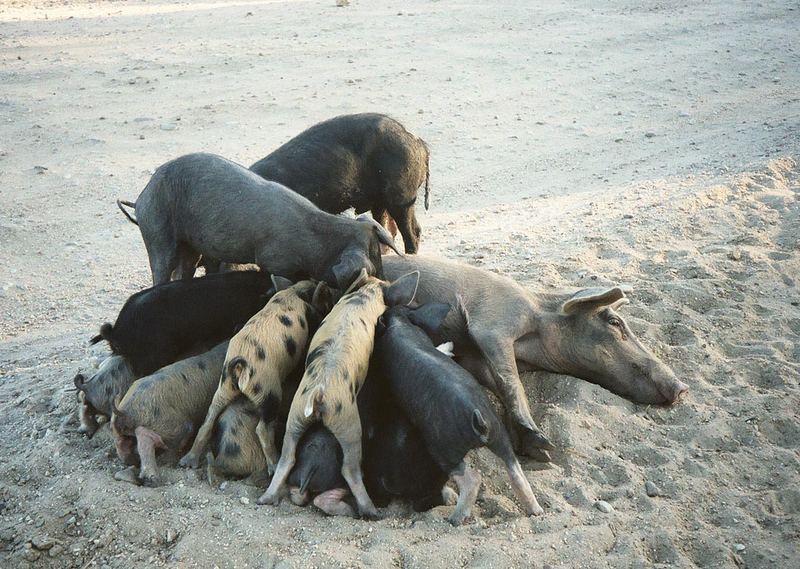 Schönes Strandleben ? Umgeschmissen - wer zuerst kommt,...