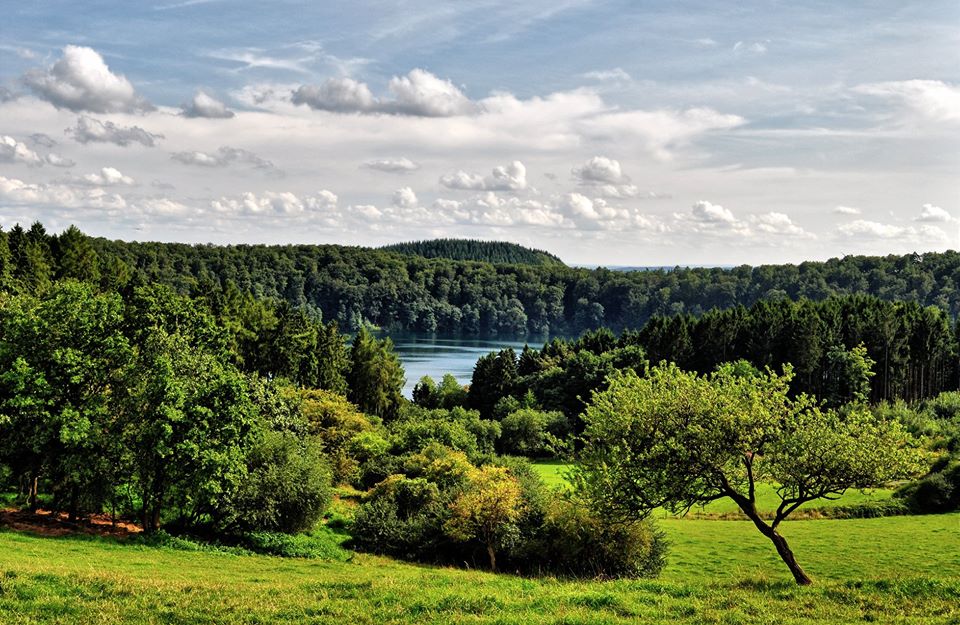 Schönes Stück Natur