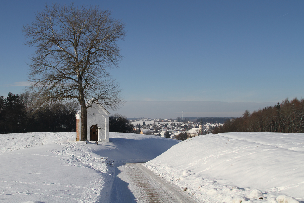 Schönes Tann