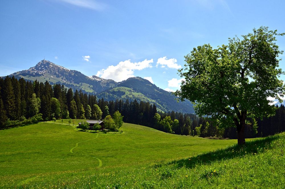 Schönes Tiroler Land