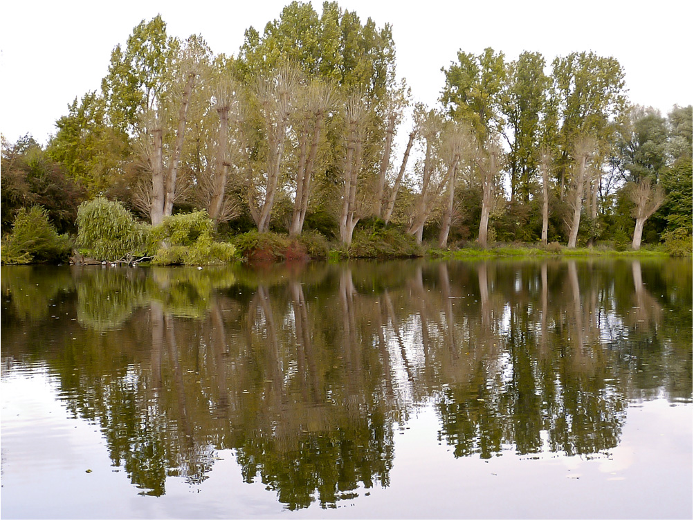 schönes Ufer