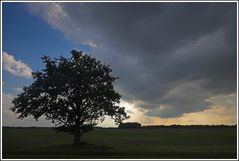 Schönes Unwetter