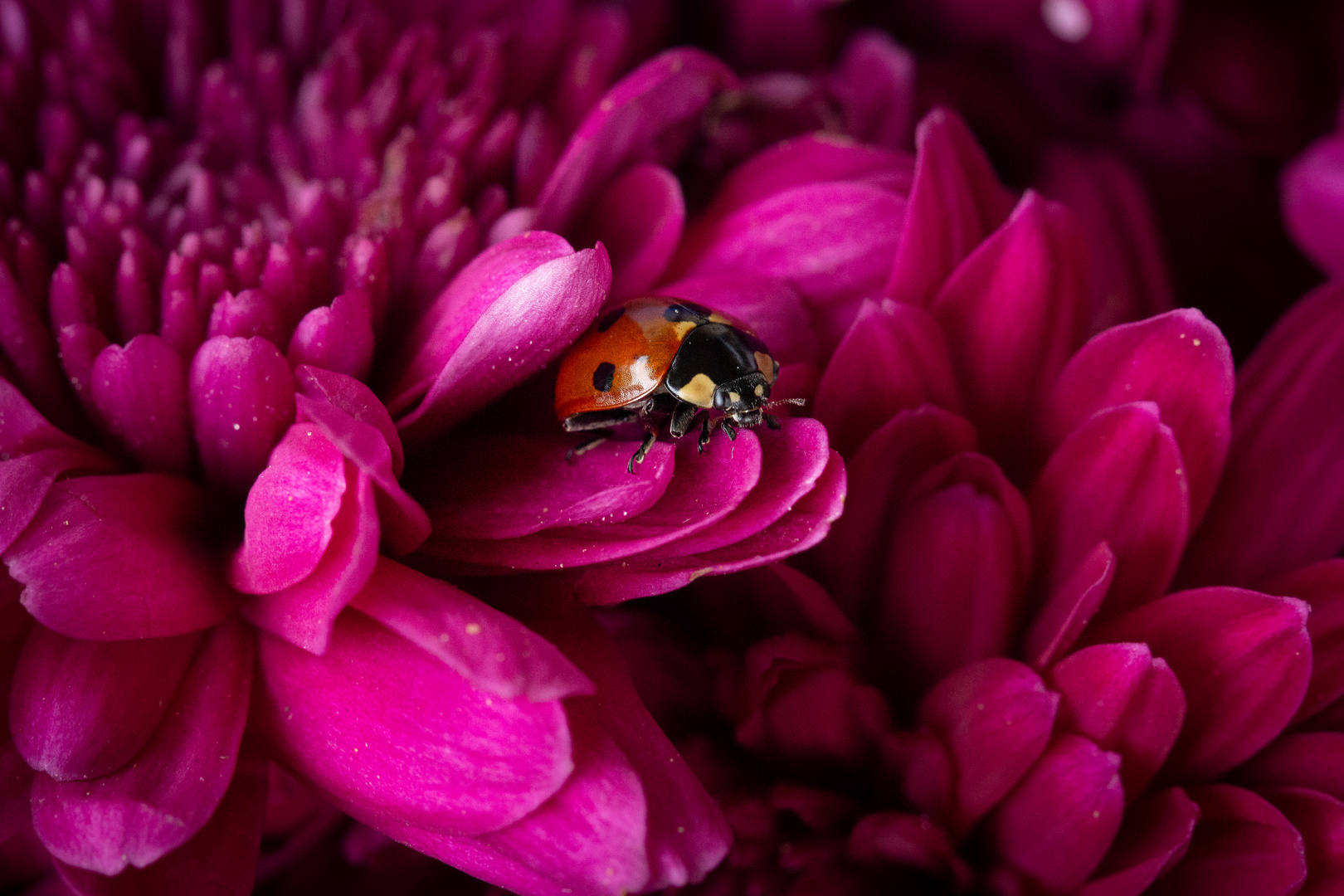 Schönes Versteck