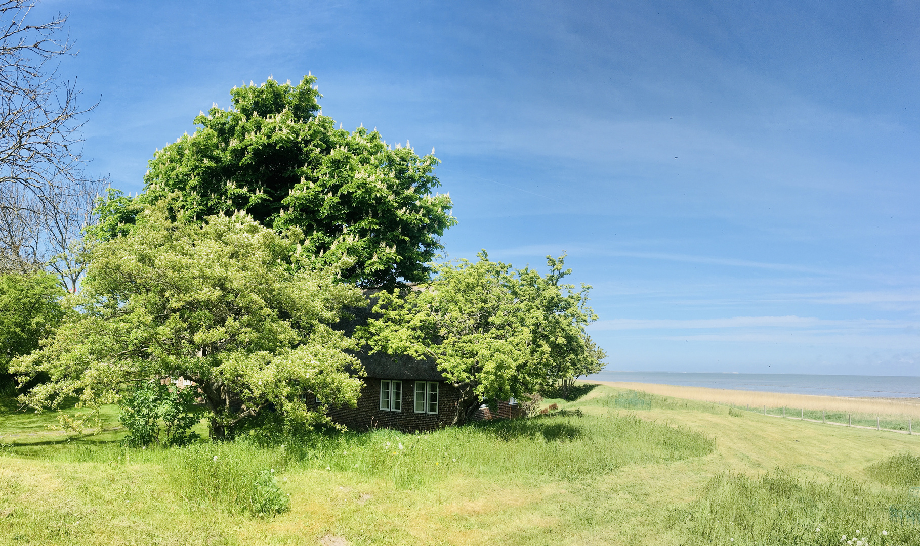 Schönes Versteck in Keitum