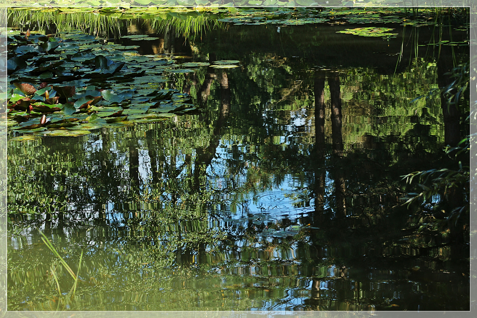 Schönes vom Mondo Verde Park 