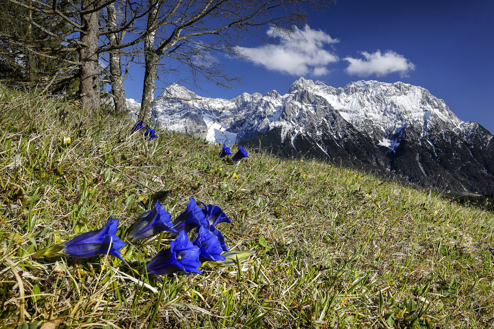 ~ SCHÖNES VORALPENLAND II ~