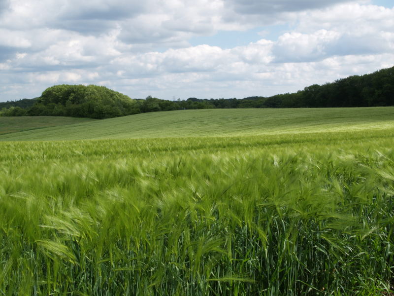 schönes weites Land !