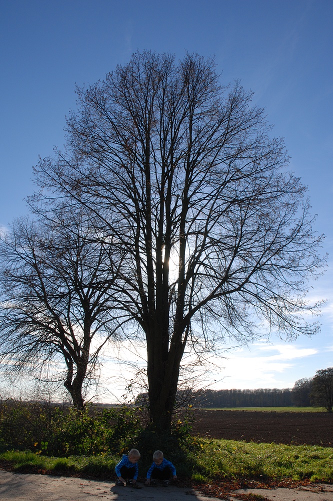 Schönes Wetter :-)