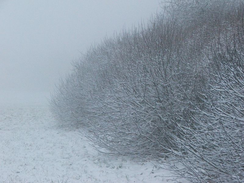 Schönes Wetter...