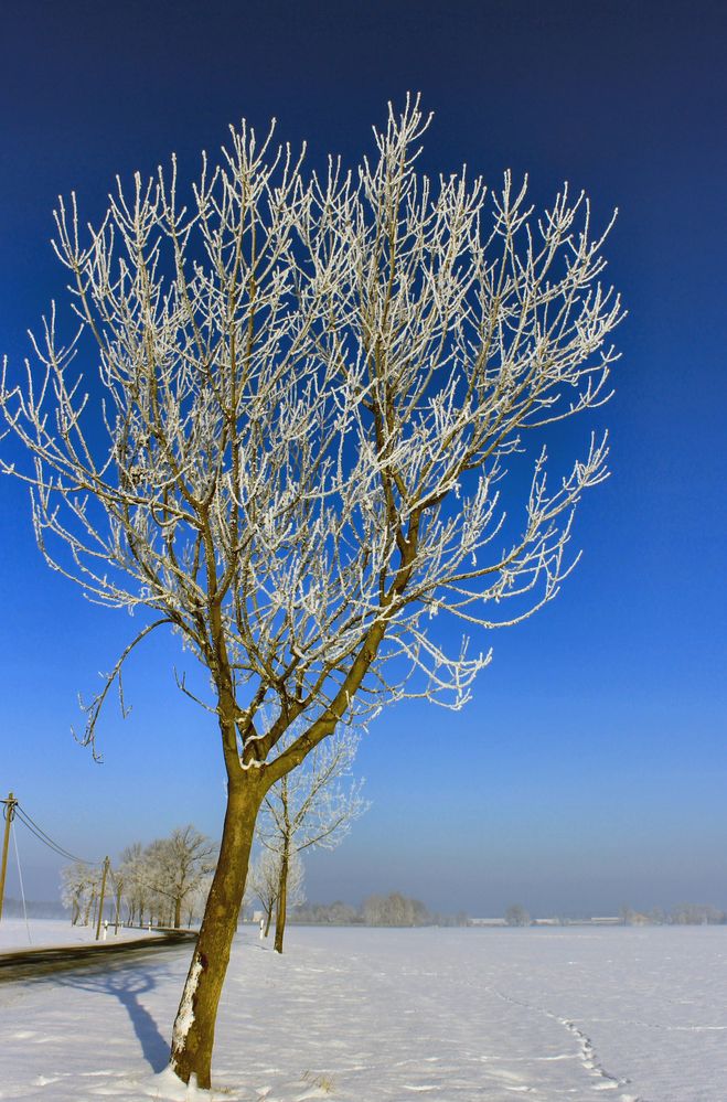 Schönes Wetter