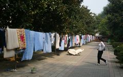 Schönes Wetter. Da werden überall in China die Betten gelüftet.