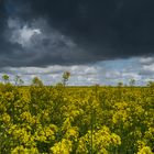 Schönes Wetter heute