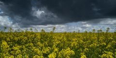 Schönes Wetter heute