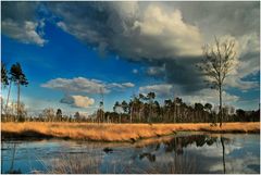 schönes Wetter im Moor 2