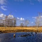 Schönes Wetter im Moor !