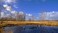 Schönes Wetter im Moor !