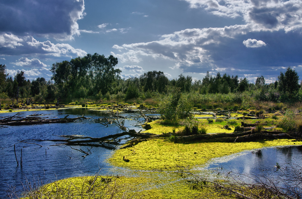 Schönes Wetter im Moor Foto Bild landschaft moor natur Bilder auf Schönes Wetter im Moor Foto Bild landschaft moor natur Bilder auf