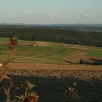 Schönes Wetter in der Pfalz