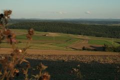 Schönes Wetter in der Pfalz