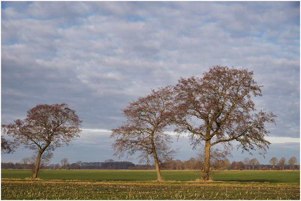 schönes Winterlicht