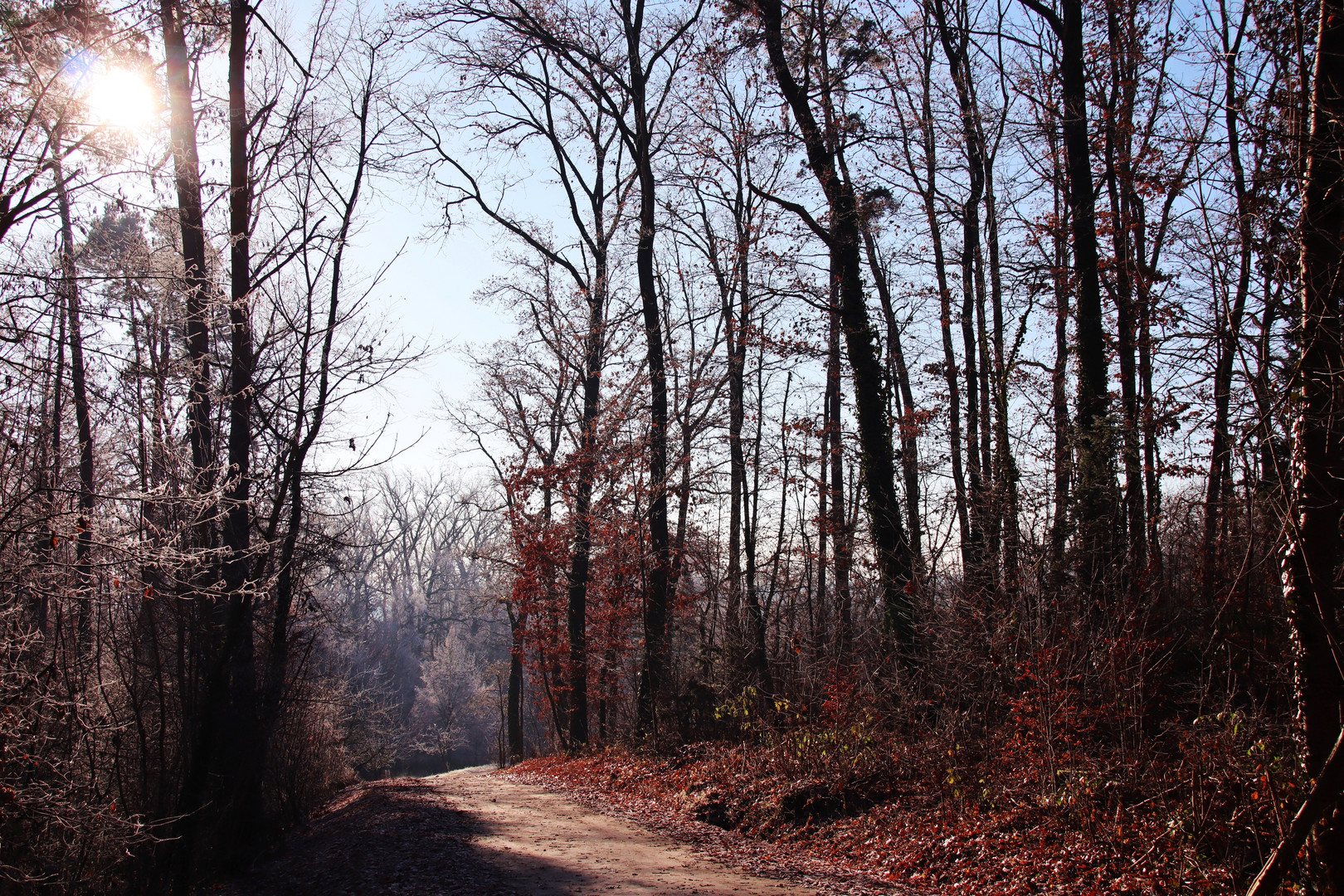 schönes Winterwetter