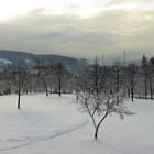 Schönes Winterwochenende