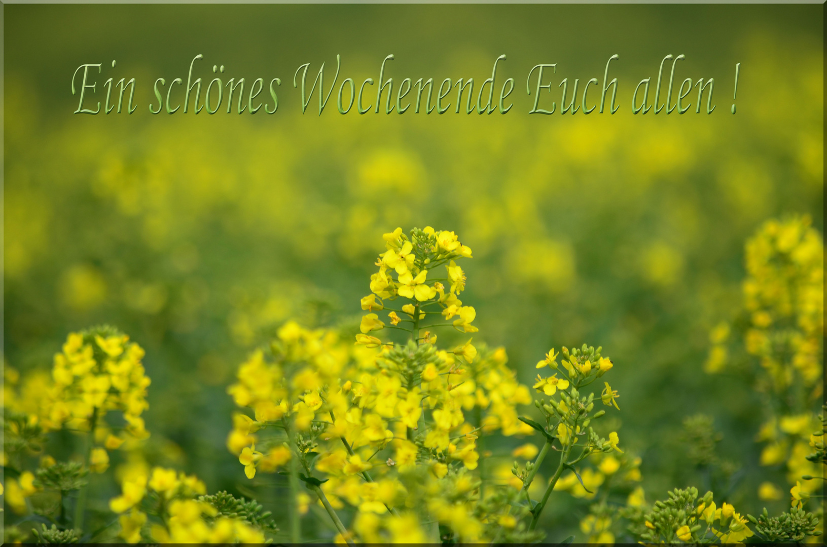 Schönes Wochenende