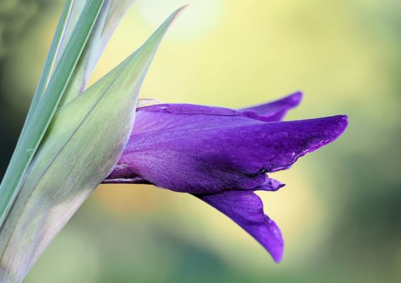 Schönes Wochenende…. 