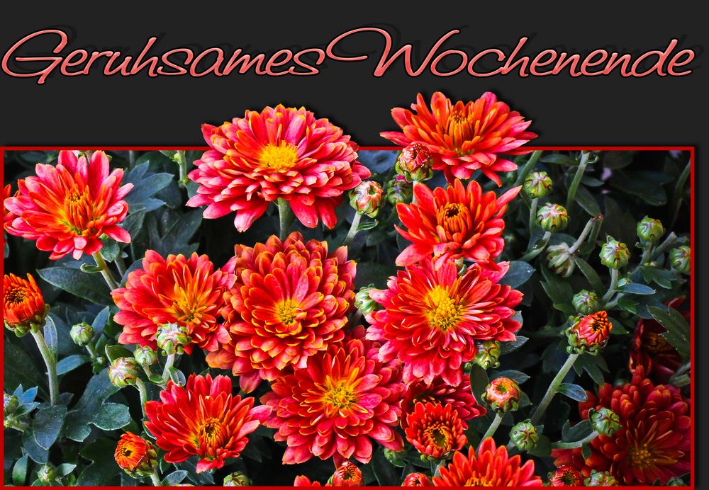 Schönes Wochenende Blumen Bilder:  A Colorful Journey into Drawing