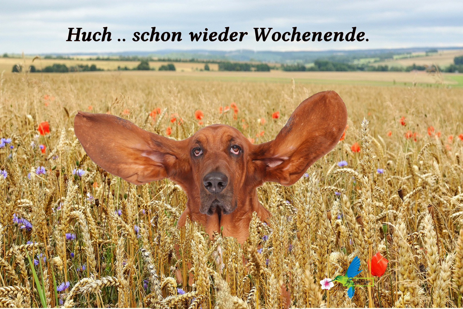 .. "Schönes Wochenende" ..