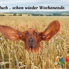 .. "Schönes Wochenende" ..