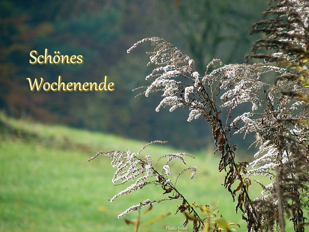 Schönes Wochenende