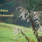 Schönes Wochenende