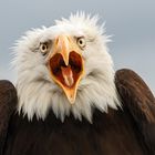 Schönes Wochenende gewünscht