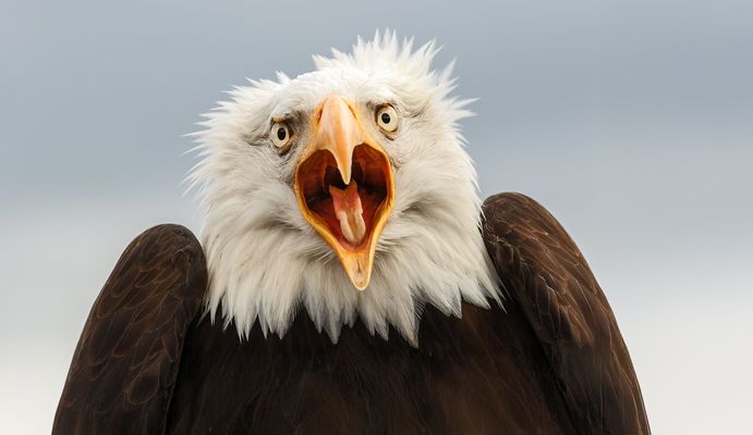 Schönes Wochenende gewünscht