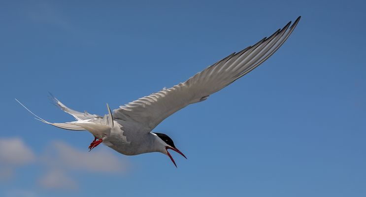 Schönes Wochenende gewünscht