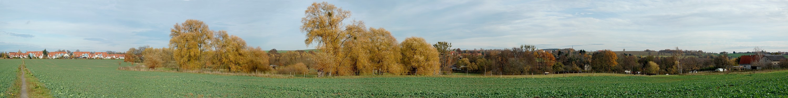 Schönfelder Höhe im Herbst
